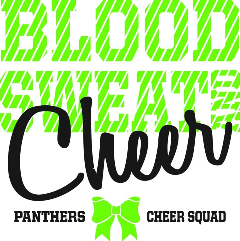 Blood Sweat and Cheer Panthers Cheer Squad