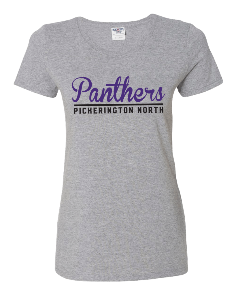 Short sleeve gray womens tshirt from Panthers